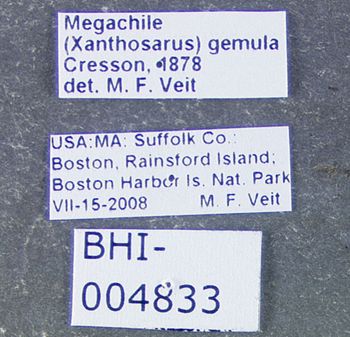 Media type: image;   Entomology 610871 Aspect: labels